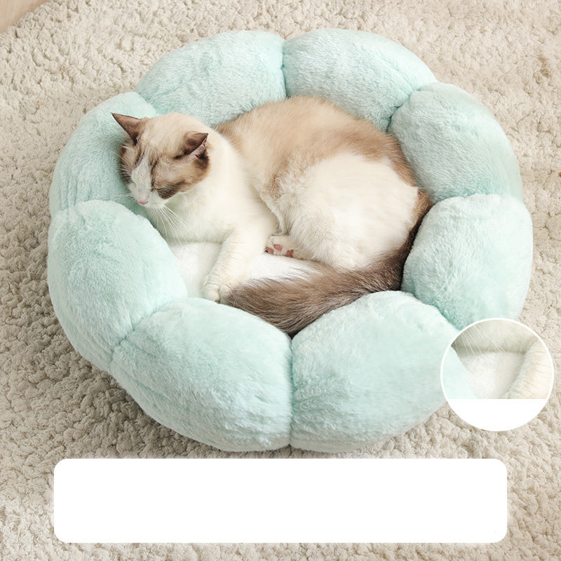 Cat and dog pet nest