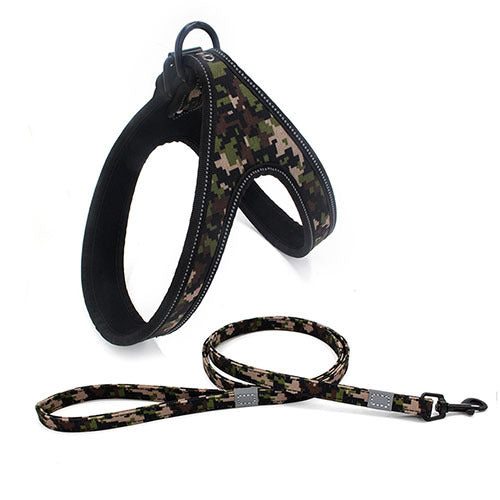 Färgglad justerbar hund Leash
