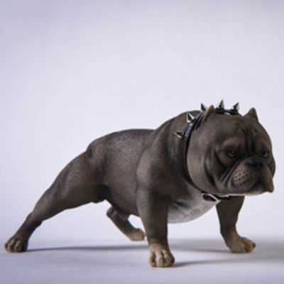 The American Bully Dog emulates the animal society dog