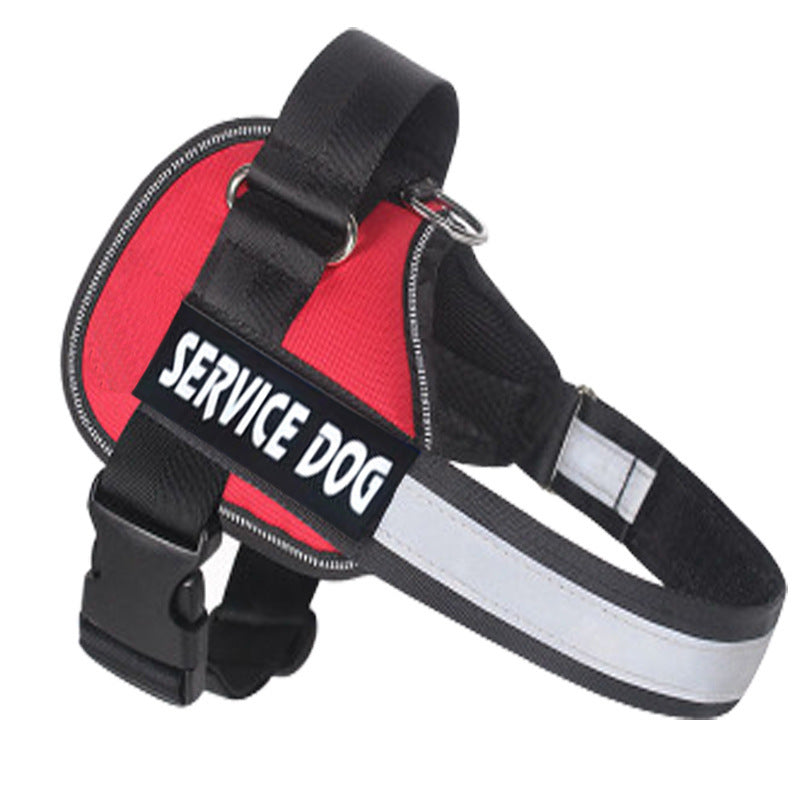 Dog harness leash