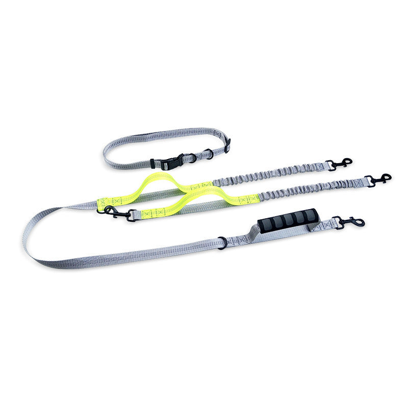 Reflective pull dog leash