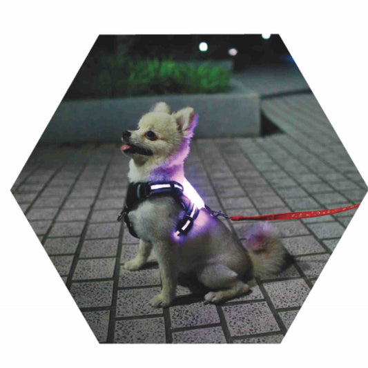 LED Luminous Anti-lost Anti-car Accident Warning Flashing Dog Harness