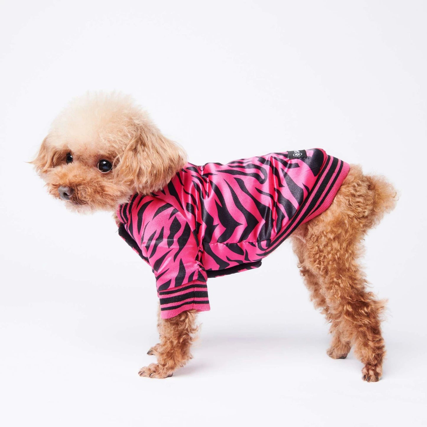 Cotton coat dog jacket clothes