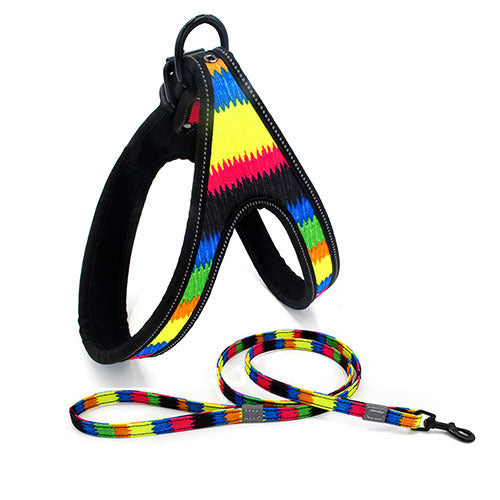 Färgglad justerbar hund Leash