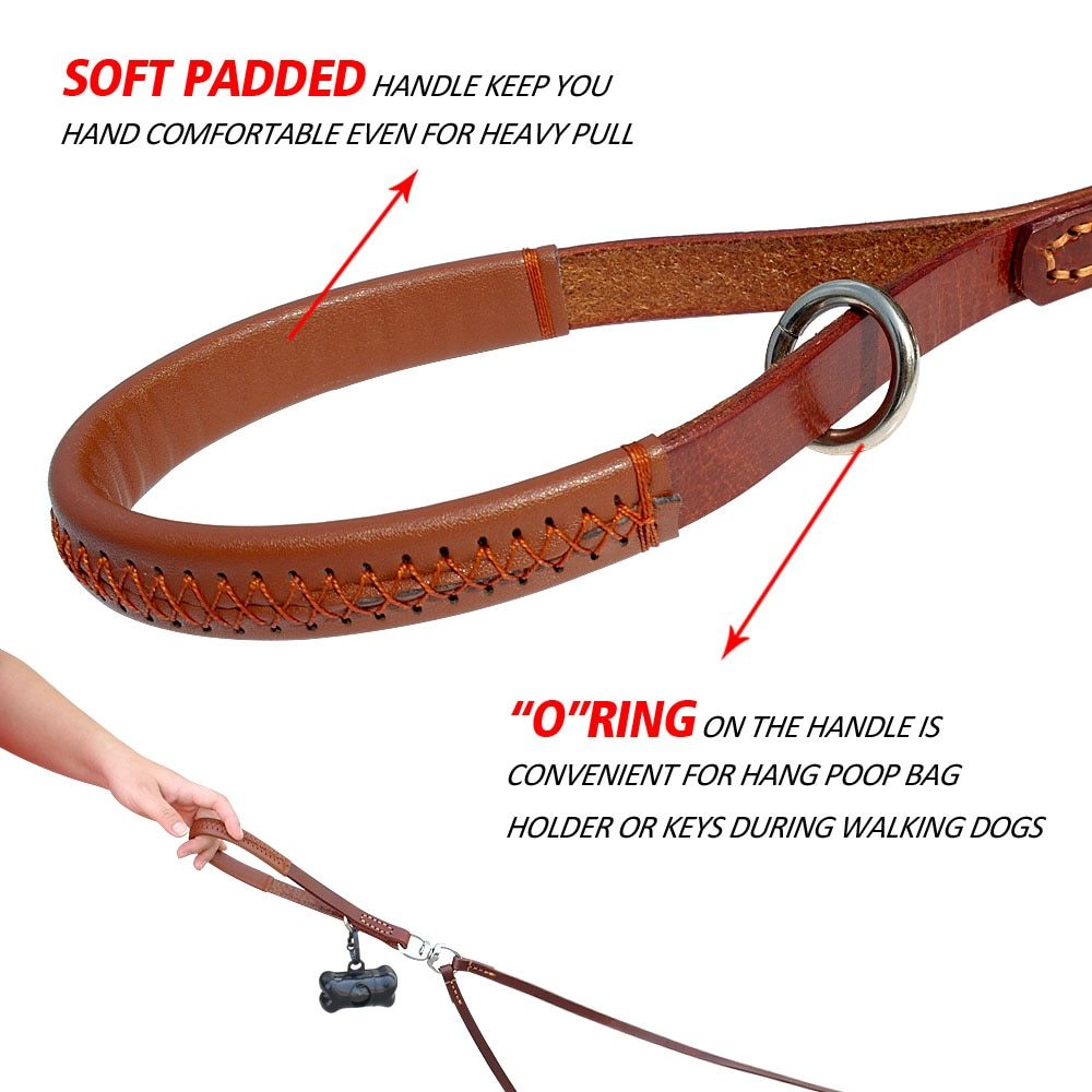 2-way dog leash