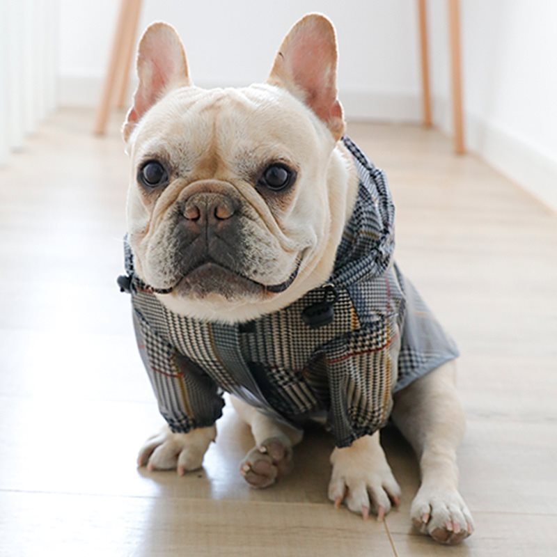 Dog plaid raincoat