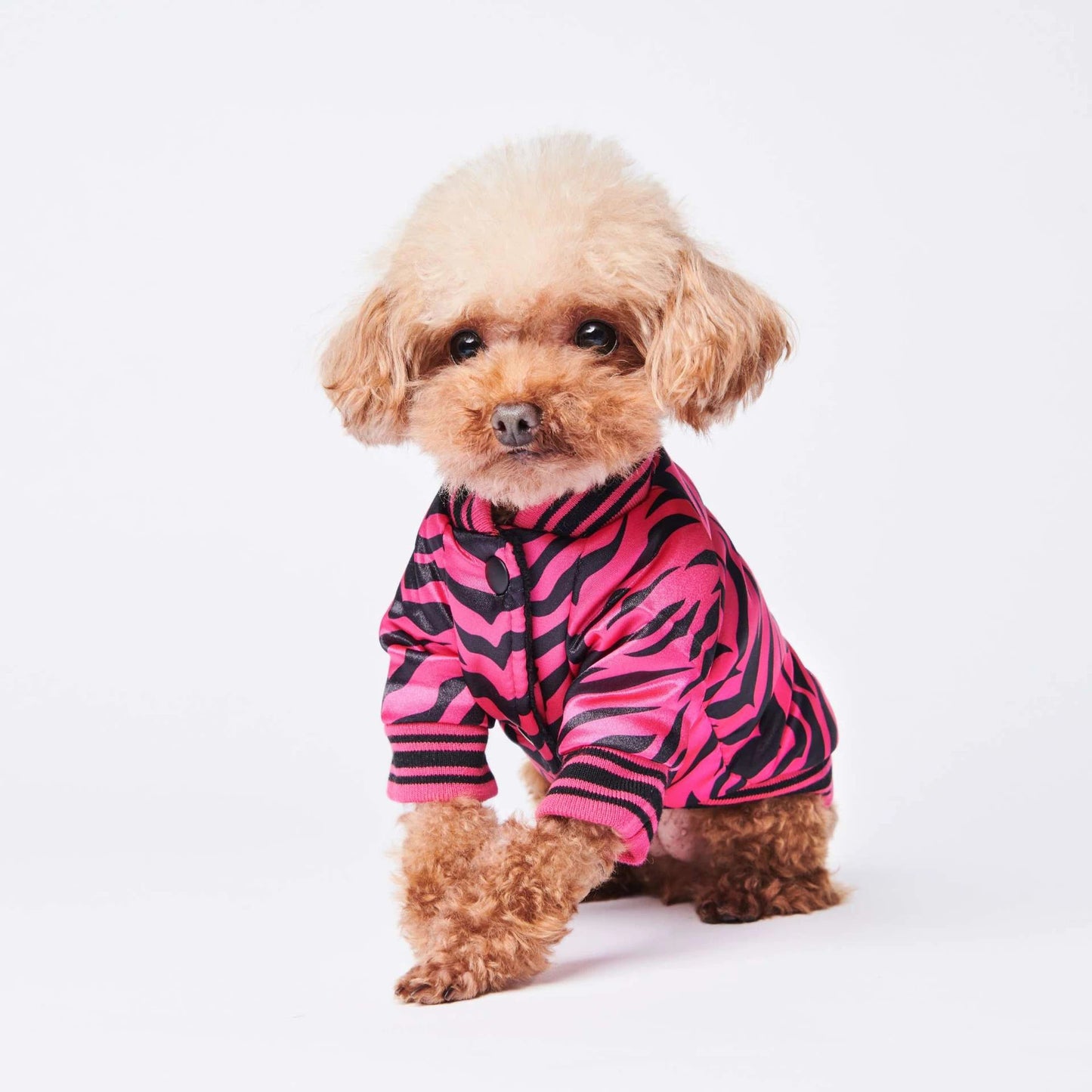 Cotton coat dog jacket clothes