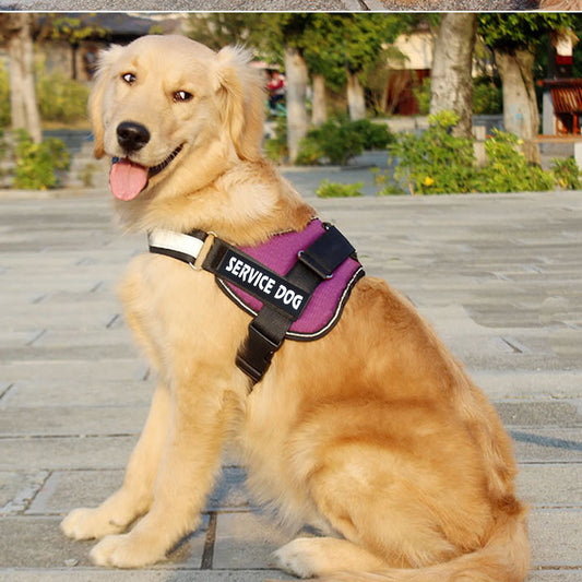 Dog harness leash