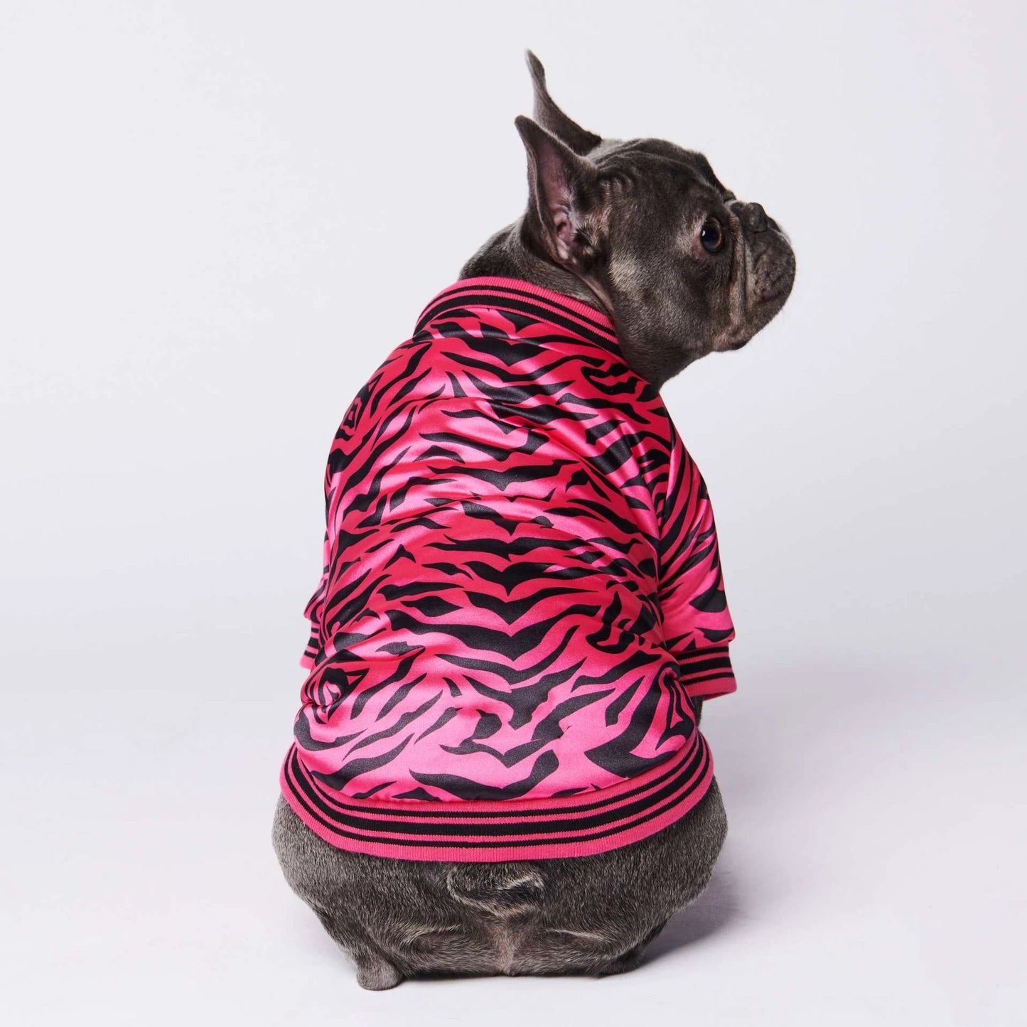 Cotton coat dog jacket clothes