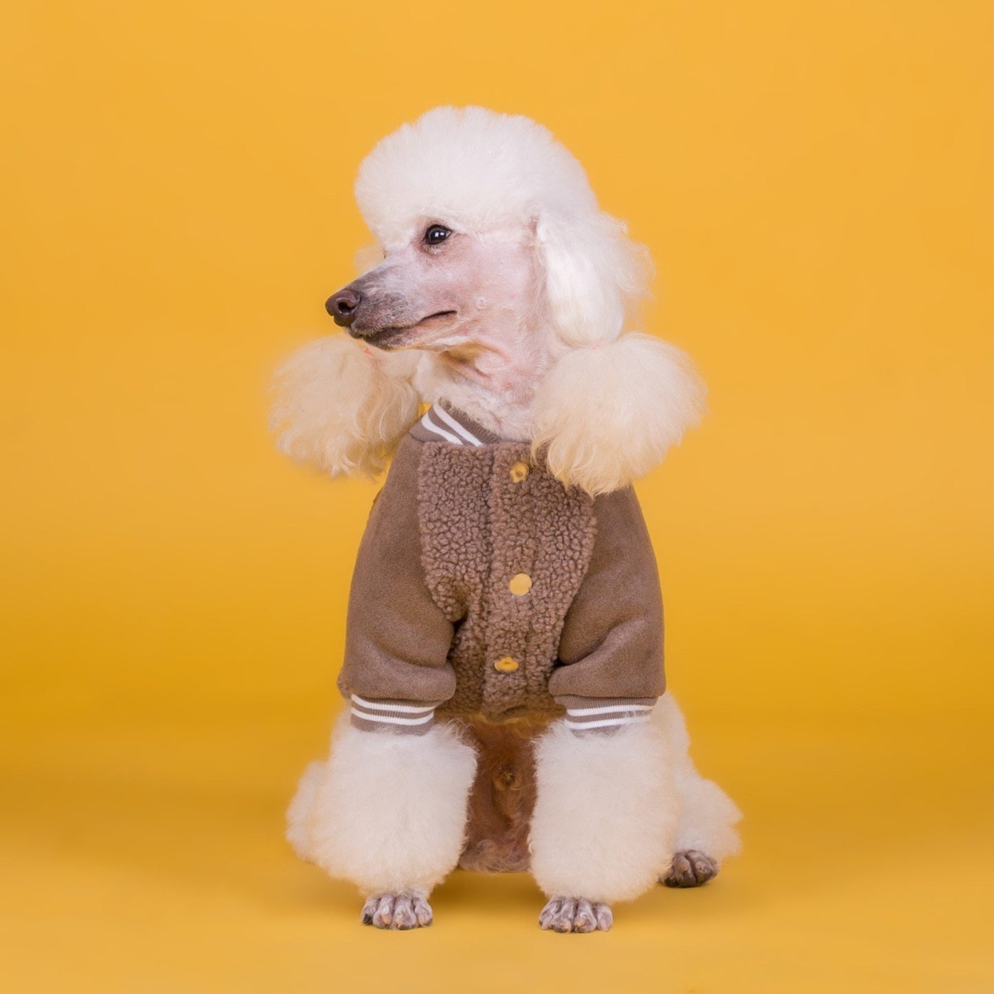 Dog cashmere coat