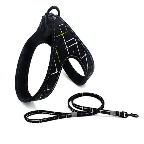 Färgglad justerbar hund Leash