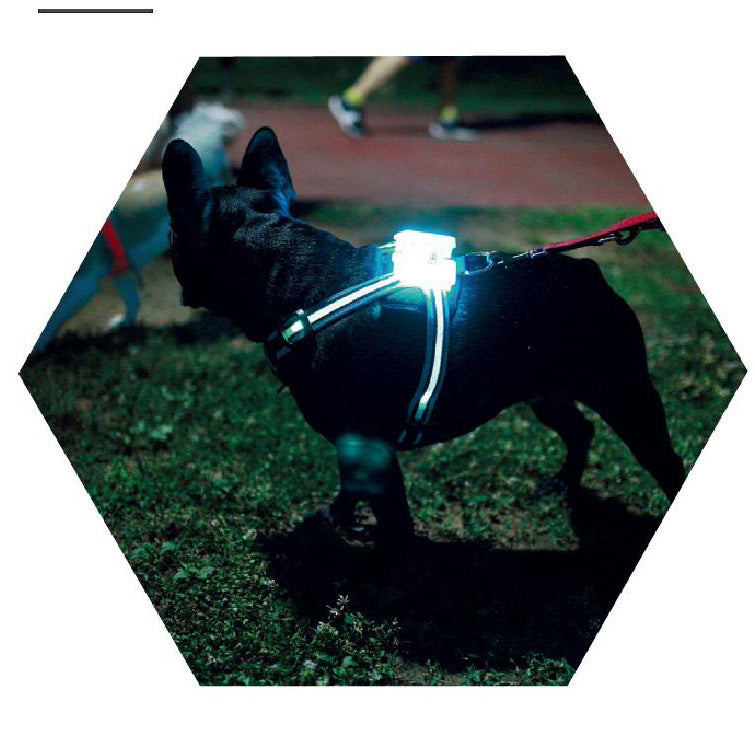 LED Luminous Anti-lost Anti-car Accident Warning Flashing Dog Harness