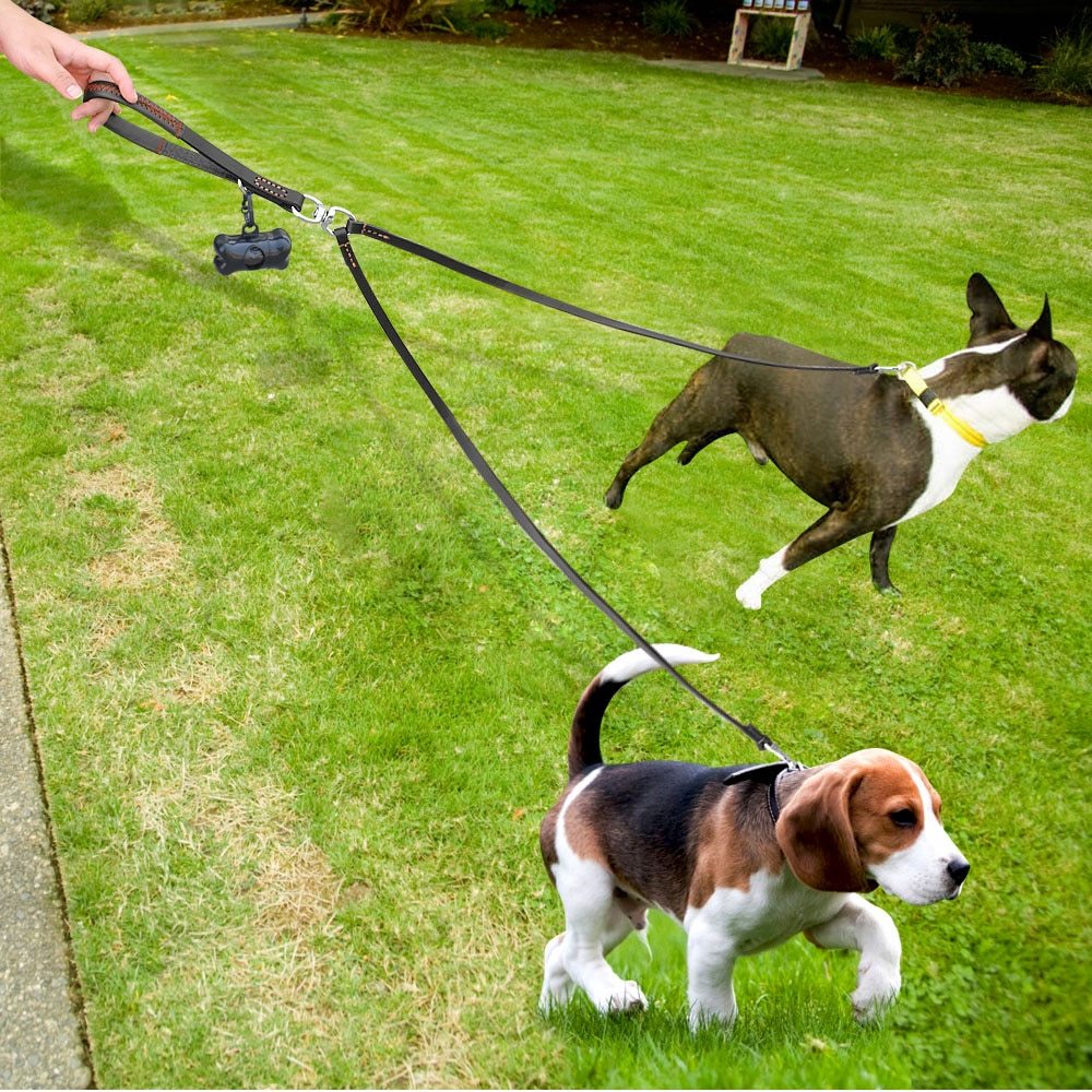 2-way dog leash