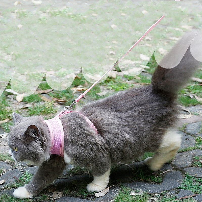 Anti-skidding cat harness