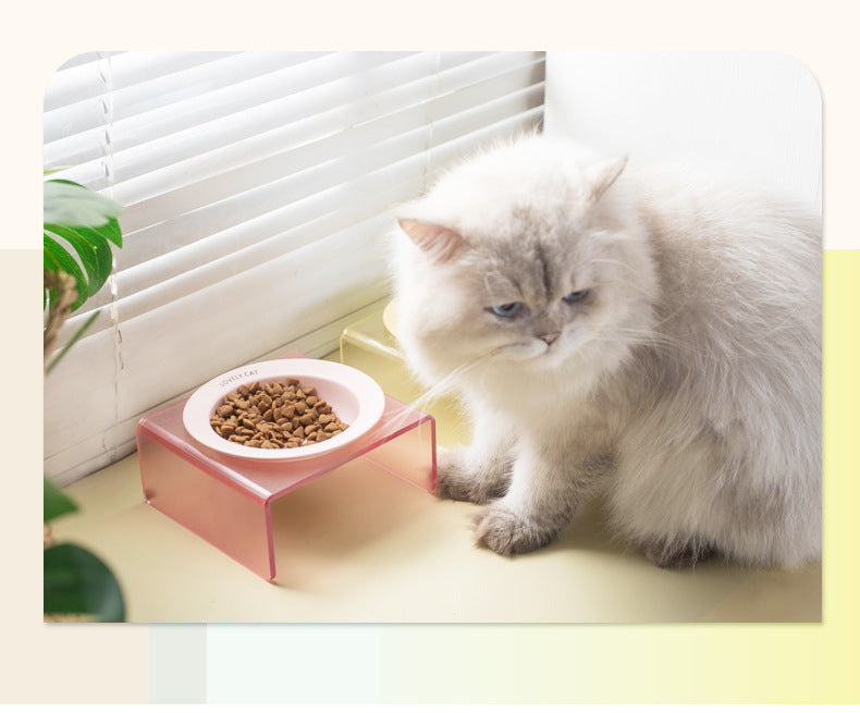 Cat Bowl Rack Acrylic Dog Bowl Anti-tumble